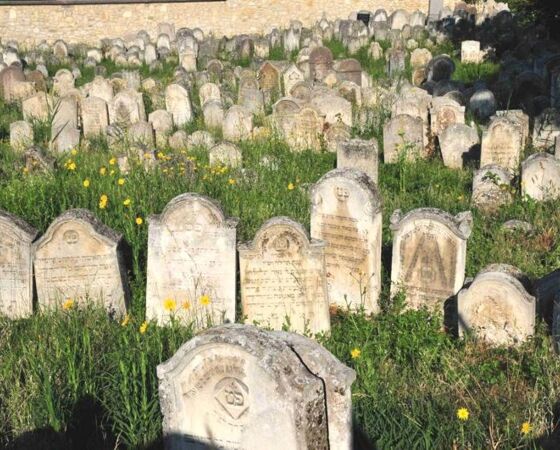 Jüdischer Friedhof in Eisenstadt. © Foto: Spatzierer